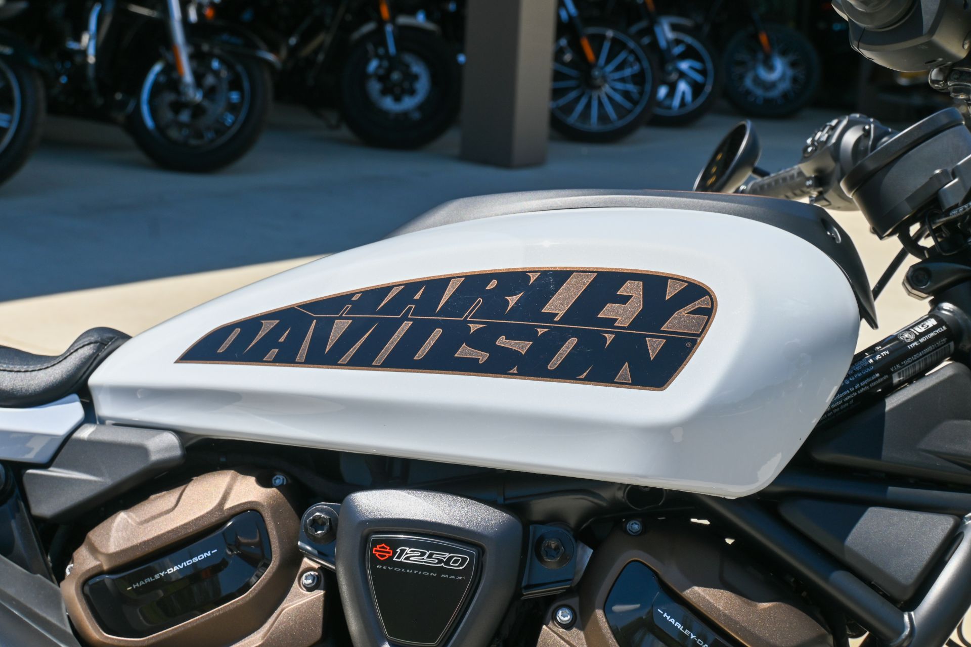 2021 Harley-Davidson SPORTSTER S 5