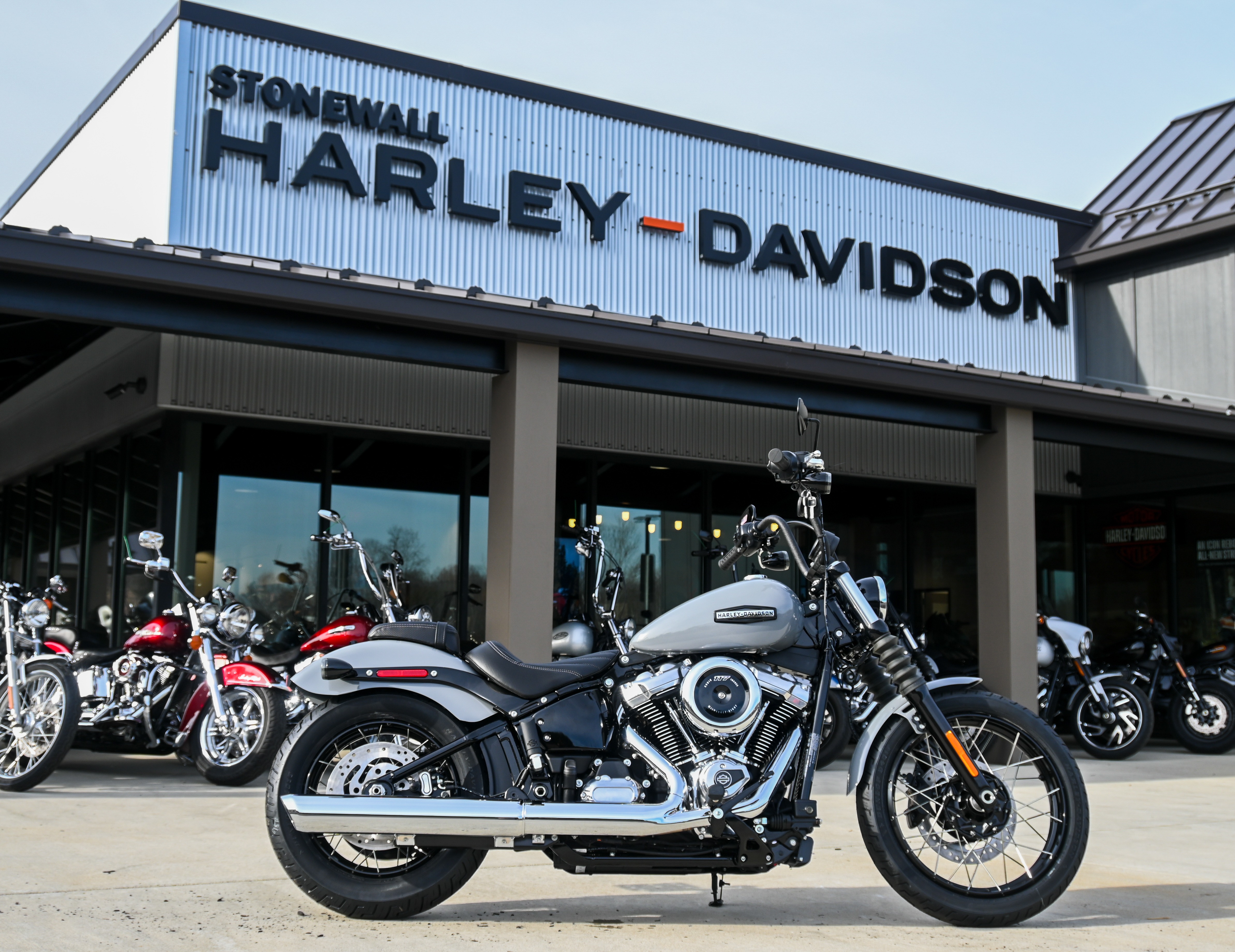 2026 Harley-Davidson Street Bob® 1