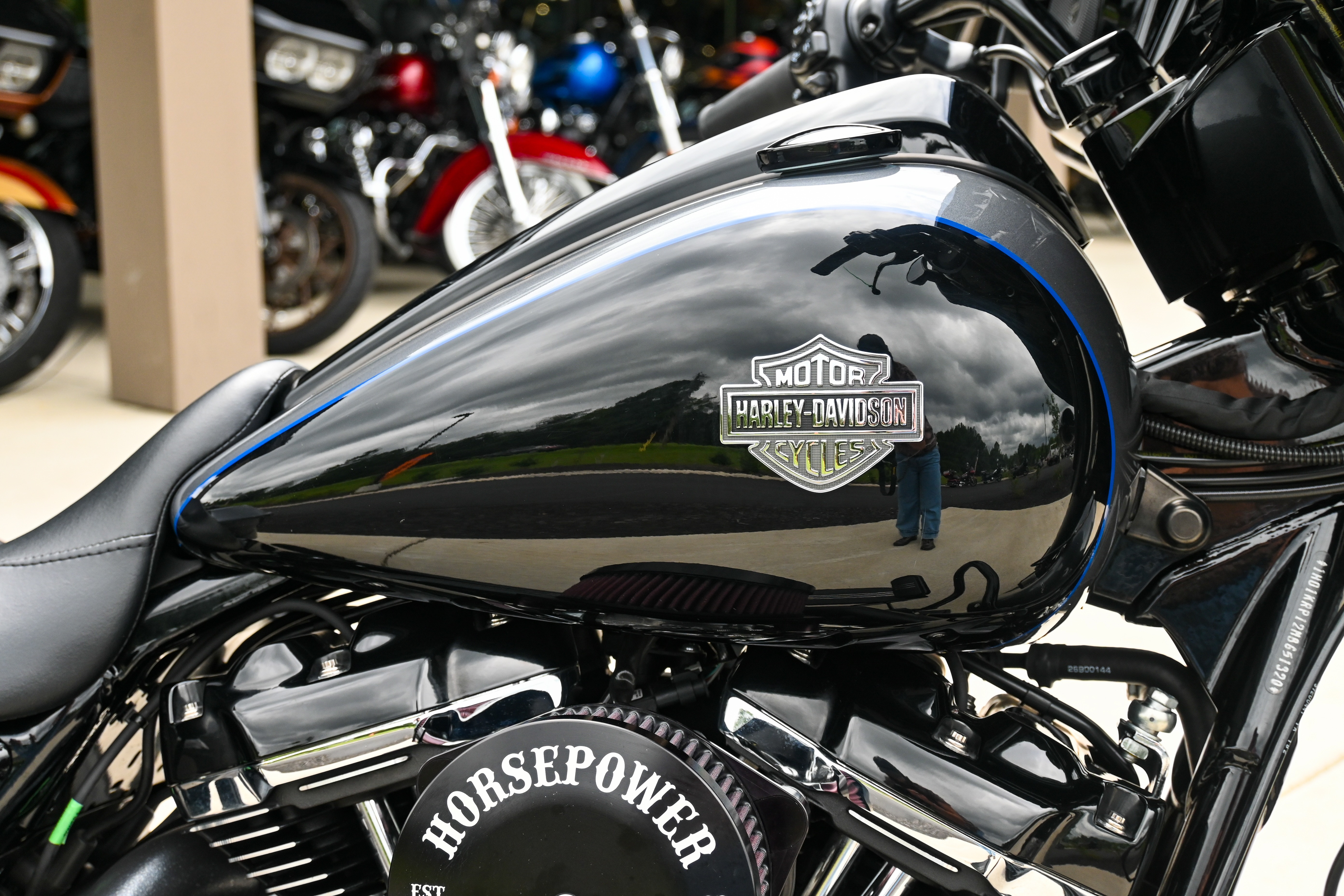 2021 Harley-Davidson Street Glide® Special 6