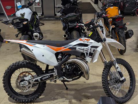 2022 Kayo KT 250