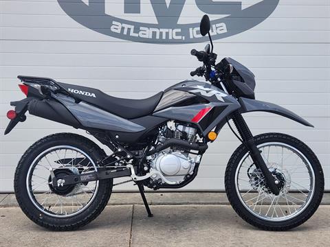 New 2025 Honda XR150L, Atlantic IA | Specs, Price, Photos | Gray 00390