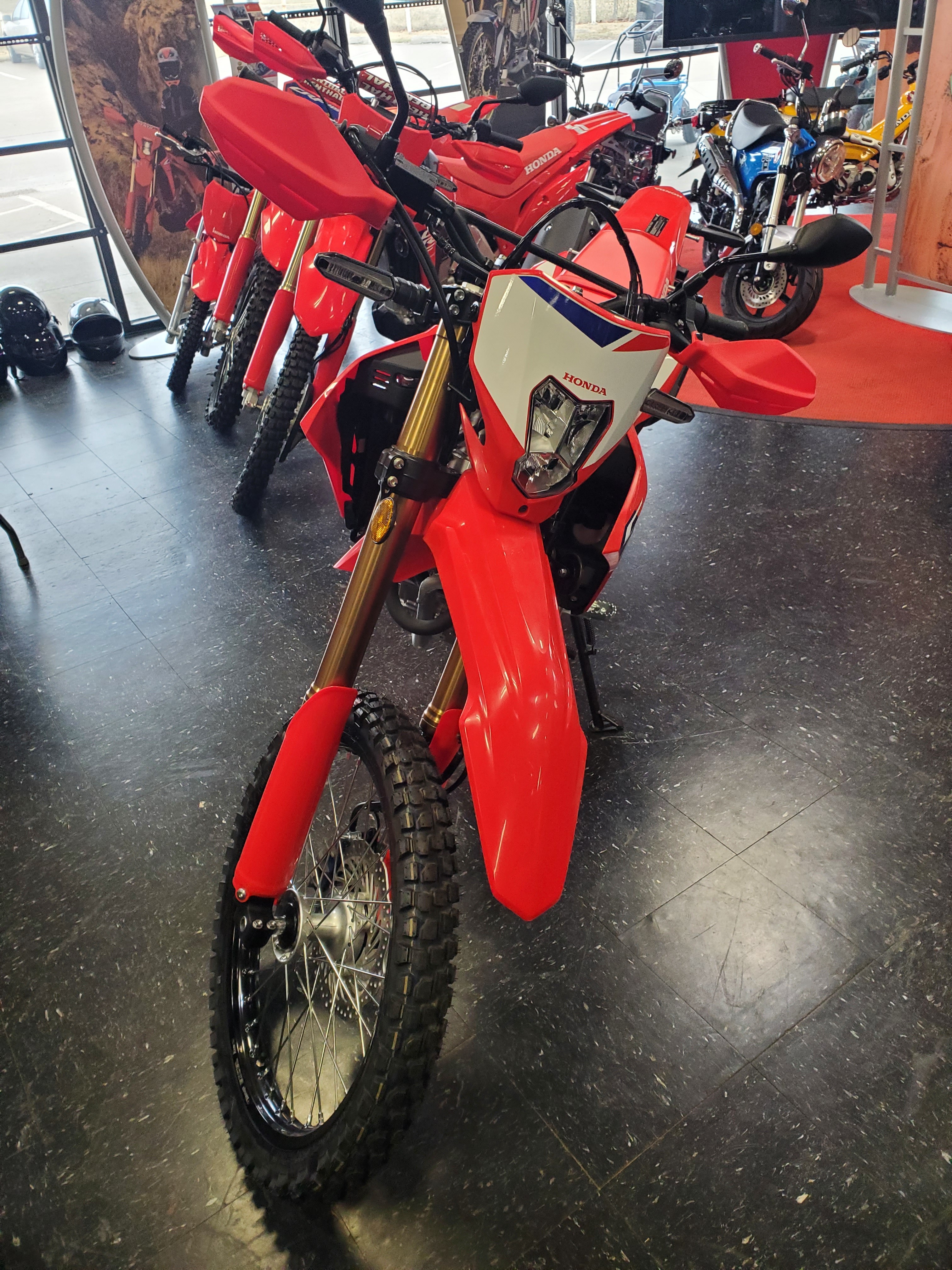 2025 Honda CRF300L ABS 3