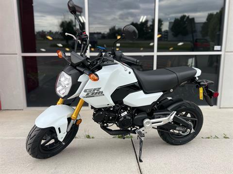 New 2026 Honda Grom, Billings MT Specs, Price, Photos Pearl