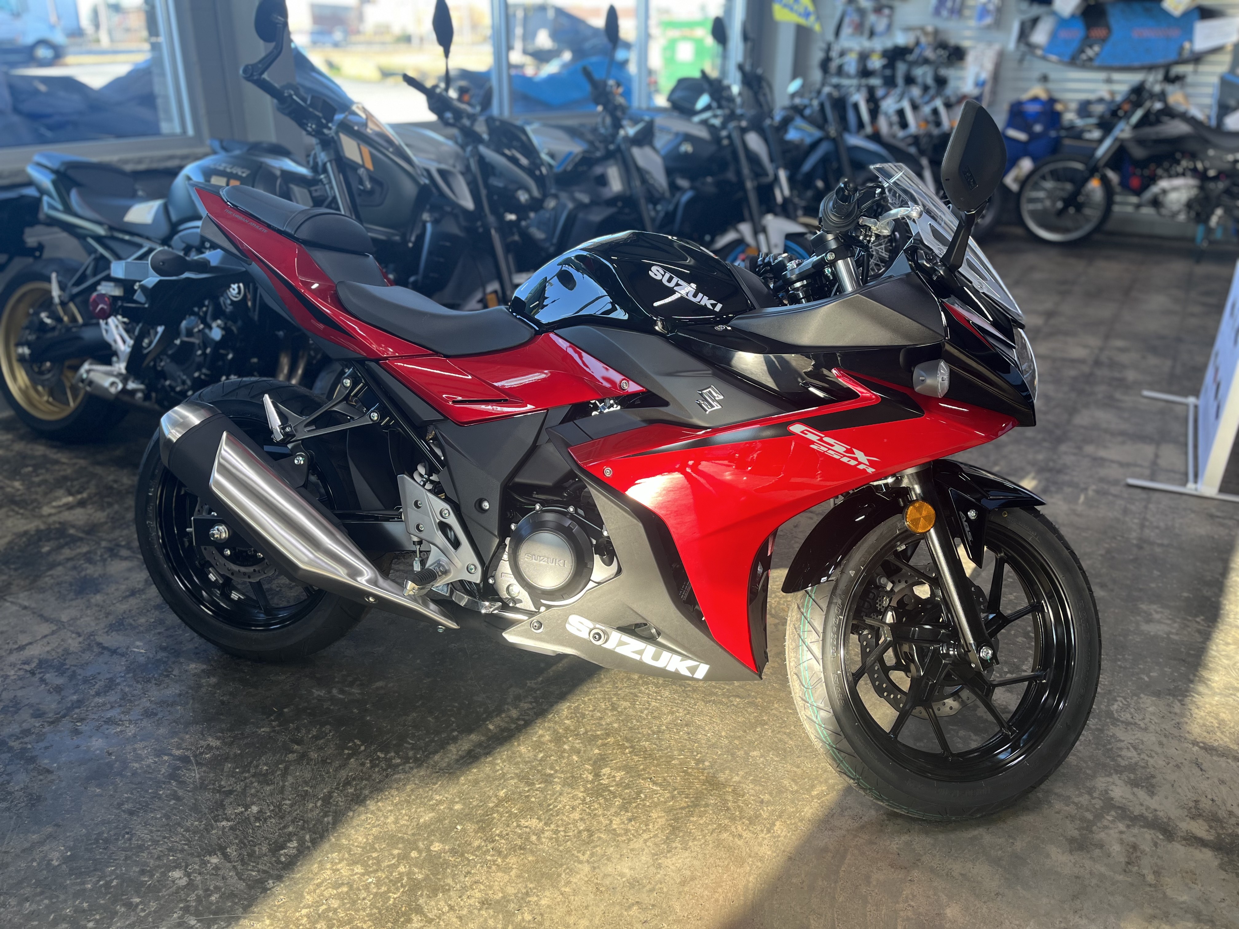 2025 Suzuki GSX250R ABS | New Motorcycles for Sale, Albemarle NC 