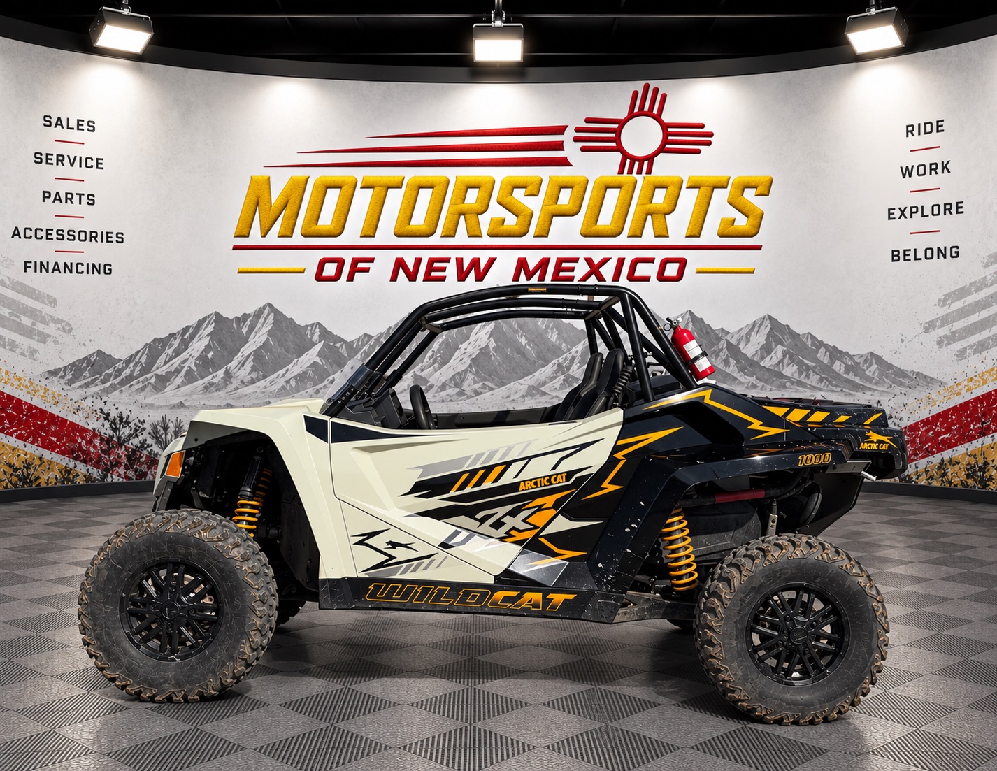 2024 Arctic Cat