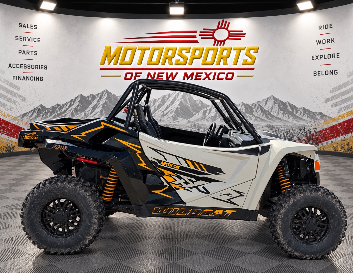 2024 Arctic Cat photo 5
