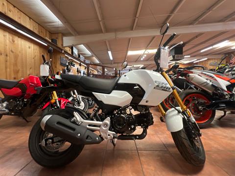 New 2026 Honda Grom ABS, New Mexico | Specs, Price, Photos | Pearl
