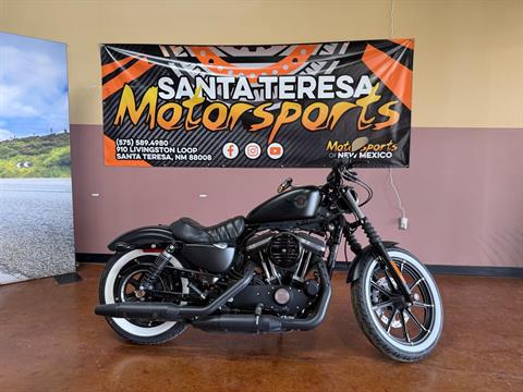 2022 Harley-Davidson Iron 883