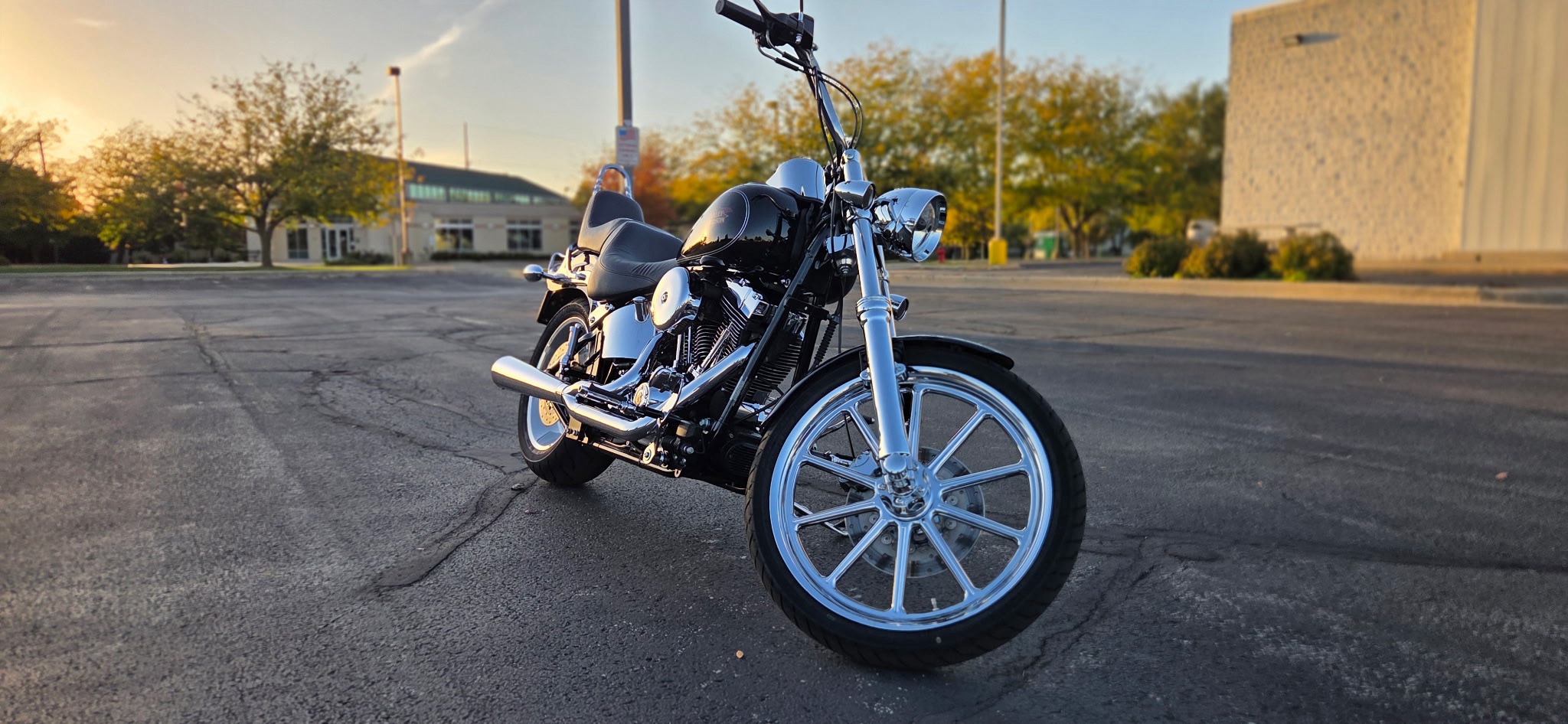 2010 Harley-Davidson Softail® Custom 2