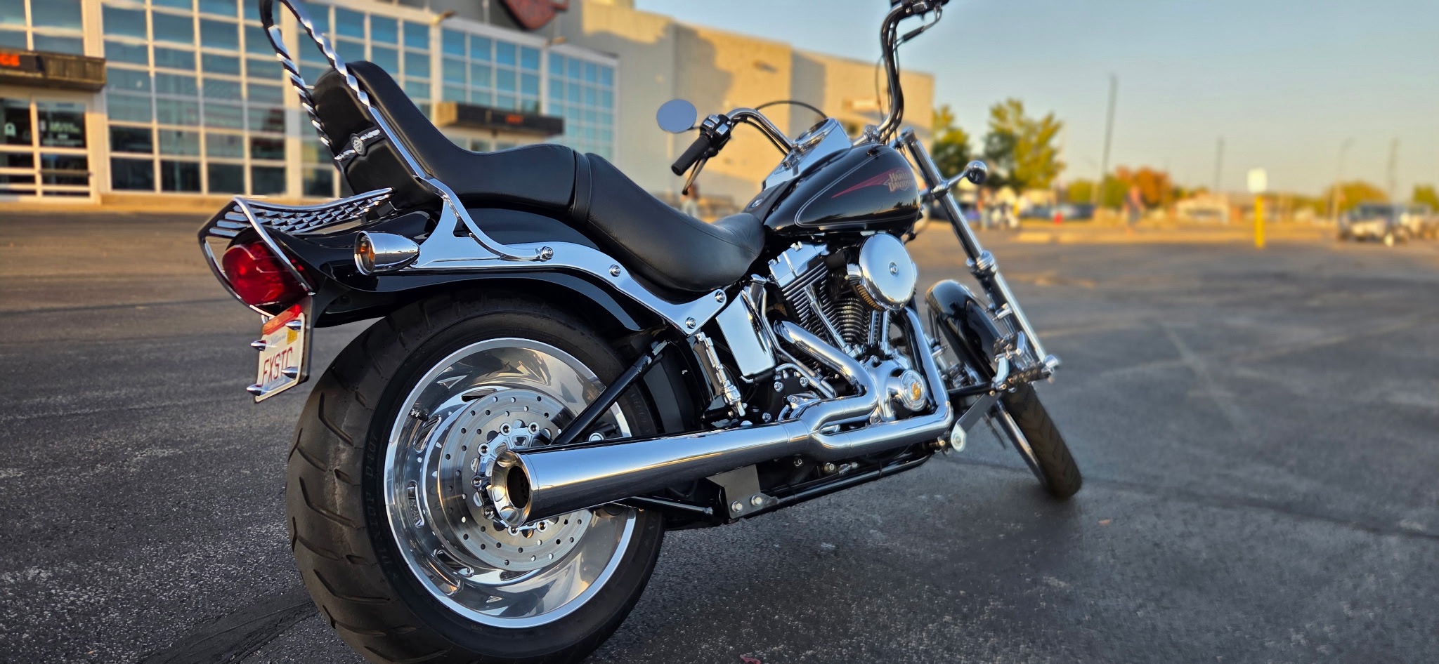 2010 Harley-Davidson Softail® Custom 3