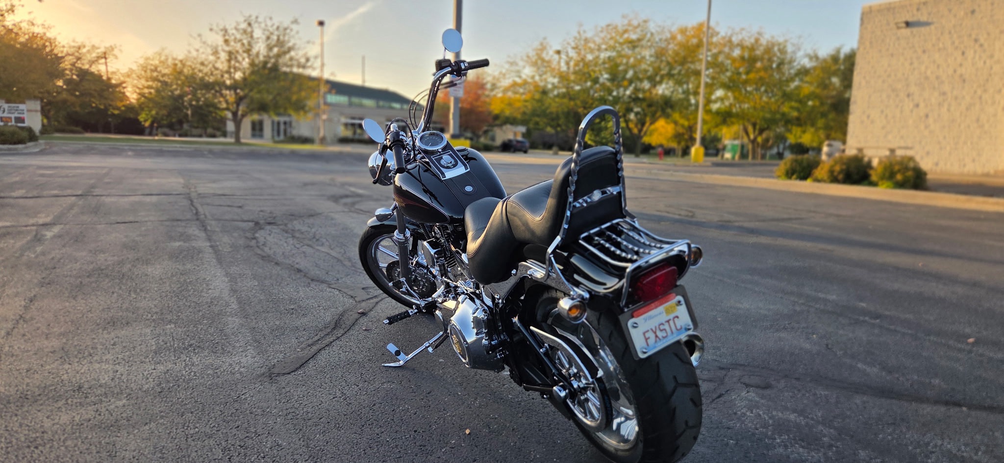 2010 Harley-Davidson Softail® Custom 6
