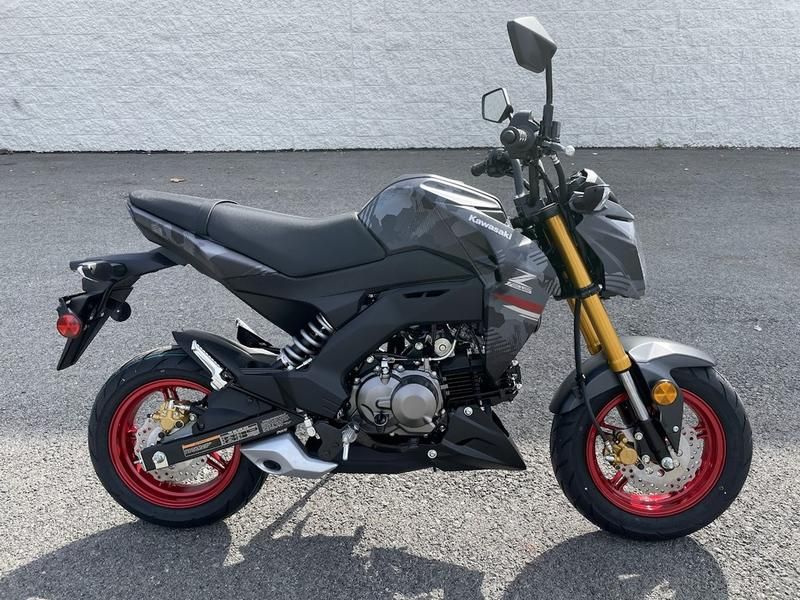 2024 Kawasaki Z125 Pro in Paso Robles, California - Photo 1