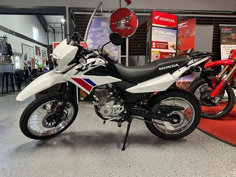 2025 Honda XR150L in Paso Robles, California - Photo 1
