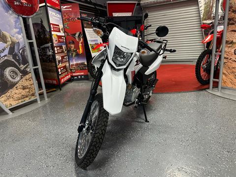 2025 Honda XR150L in Paso Robles, California - Photo 3
