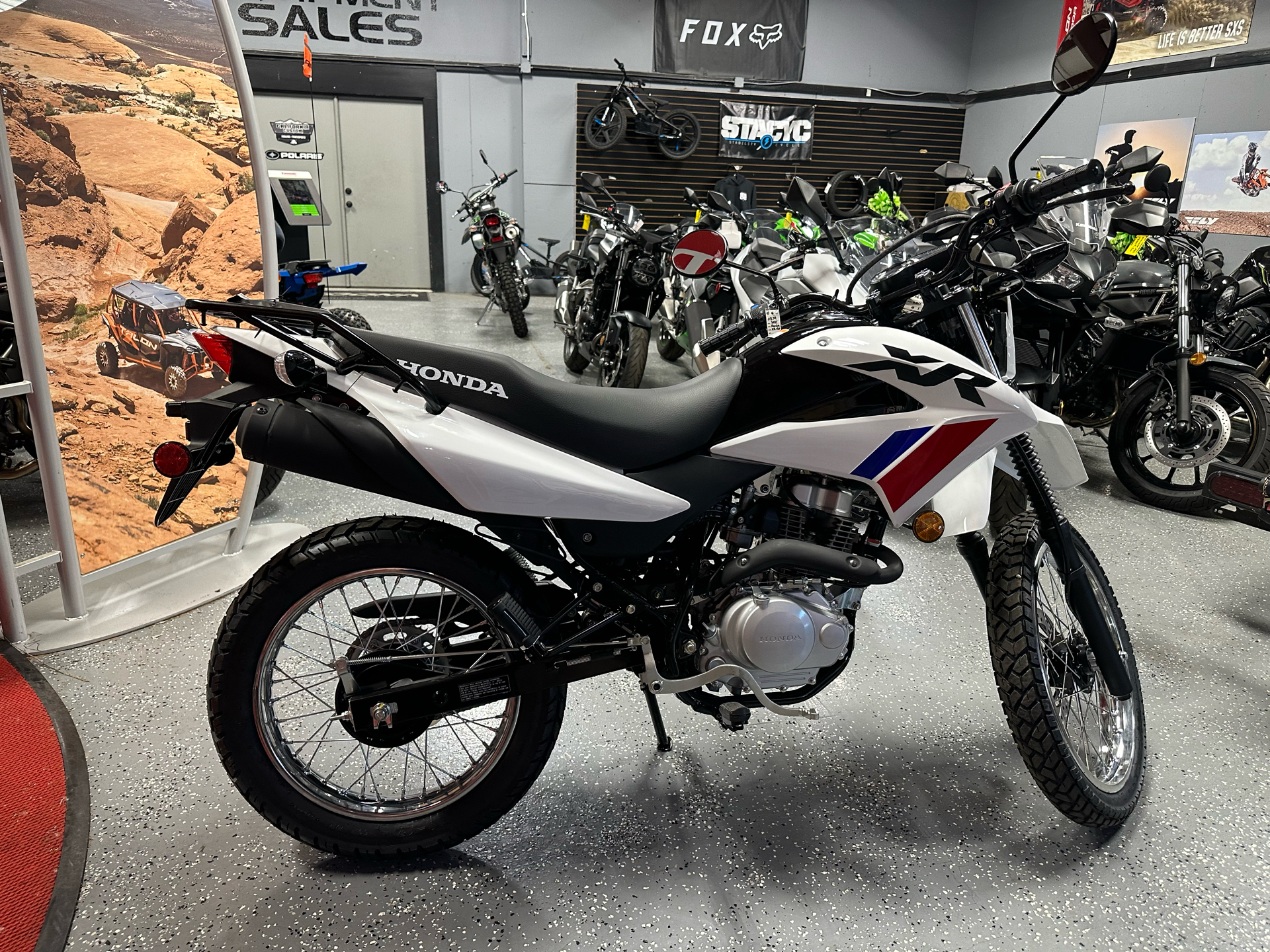 2025 Honda XR150L in Paso Robles, California - Photo 5