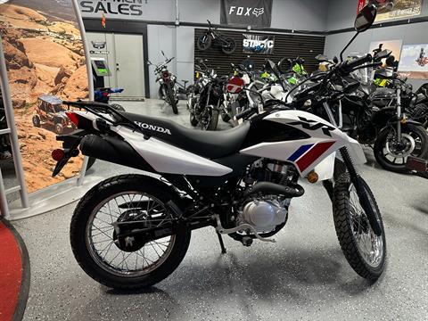 2025 Honda XR150L in Paso Robles, California - Photo 5