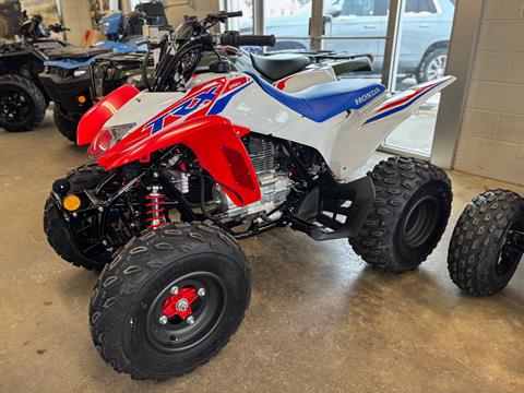 New 2026 Honda TRX250X ATVs in Jamestown, NY | Stock Number: N/A
