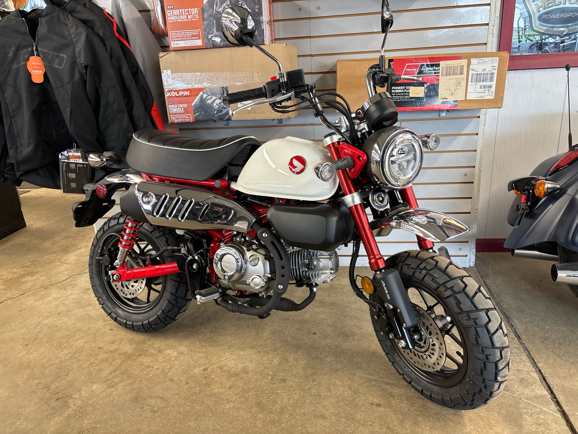 New 2025 Honda Monkey ABS Motorcycles in Jamestown, NY | Stock