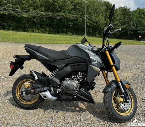 New 2024 Kawasaki Z125 Pro, Seneca PA | Specs, Price, Photos