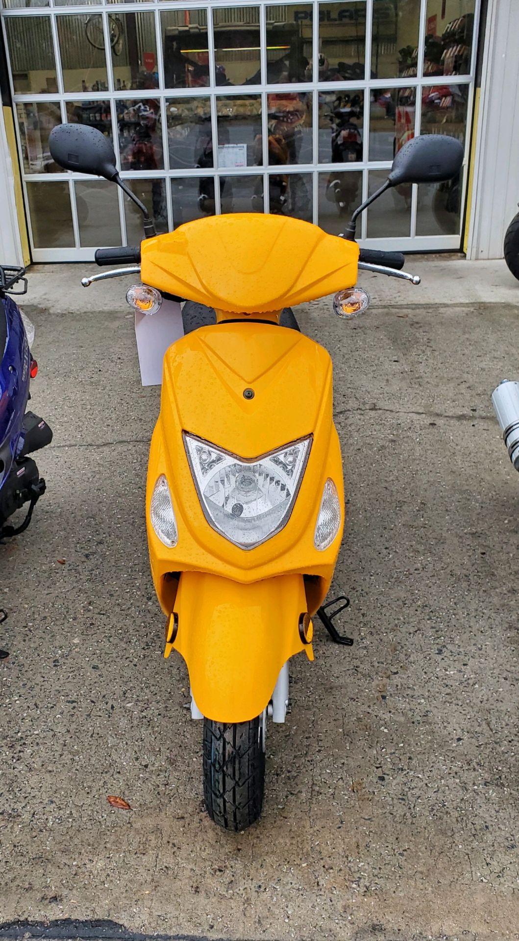 New 2024 Wolf Brand Scooters Wolf RX-50 Yellow | Scooters in