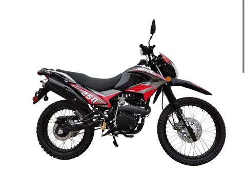 2023 RAVEN RAVEN 250 in Conyers, Georgia