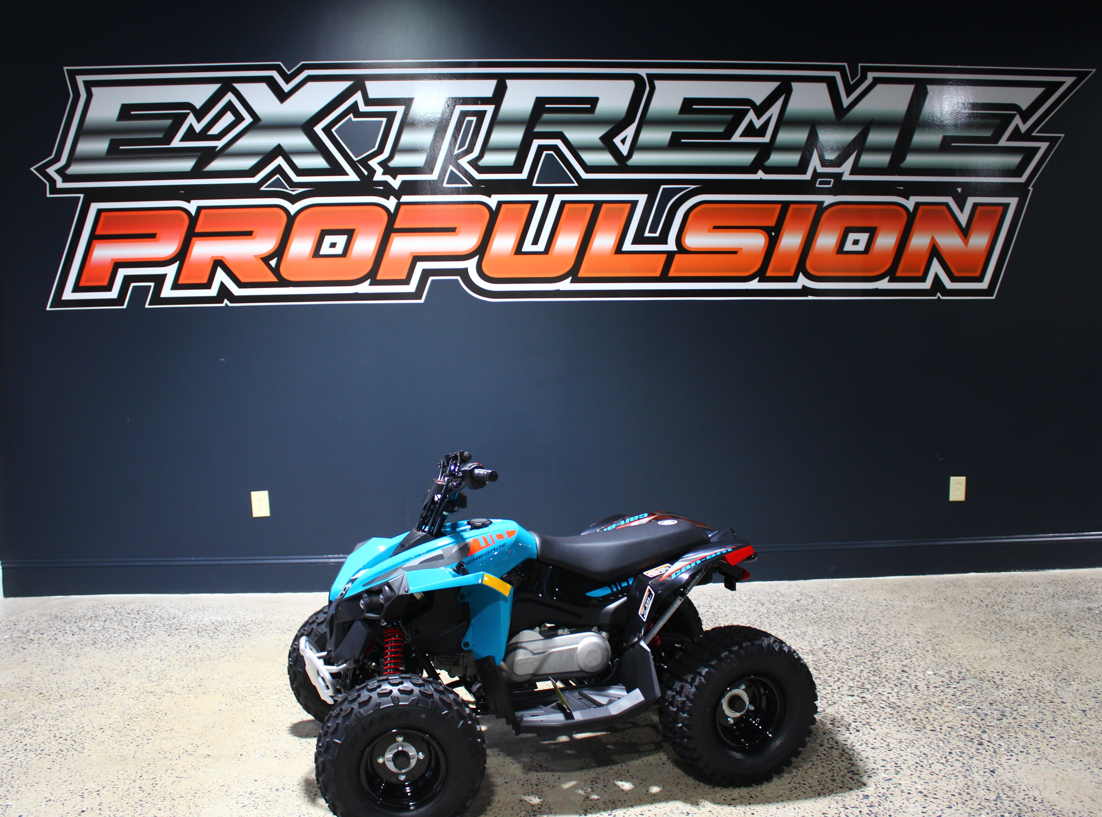 2026 Can-Am Renegade 110 EFI