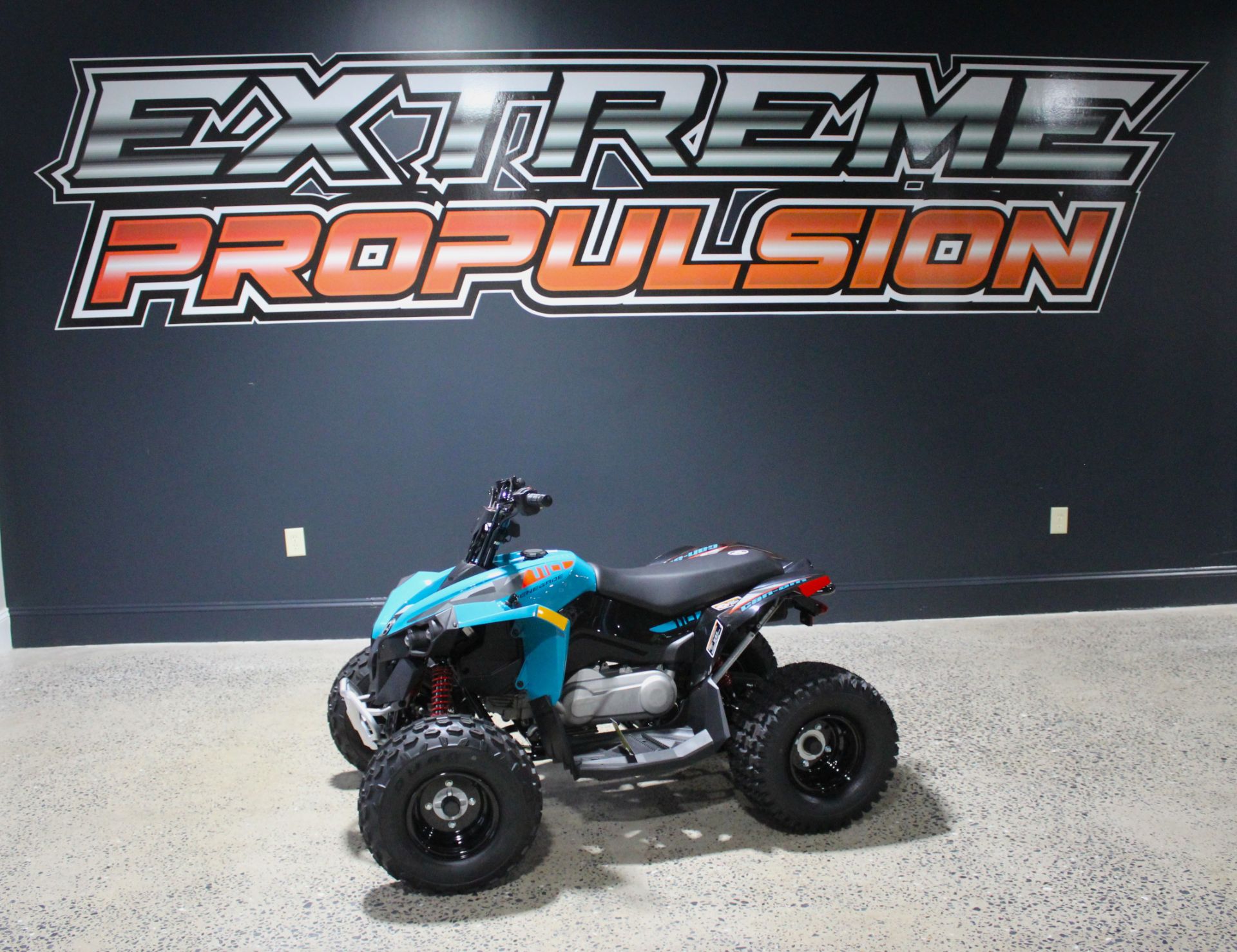 2026 Can-Am Renegade 110 EFI