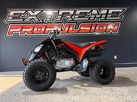 2026 Can-Am DS 250