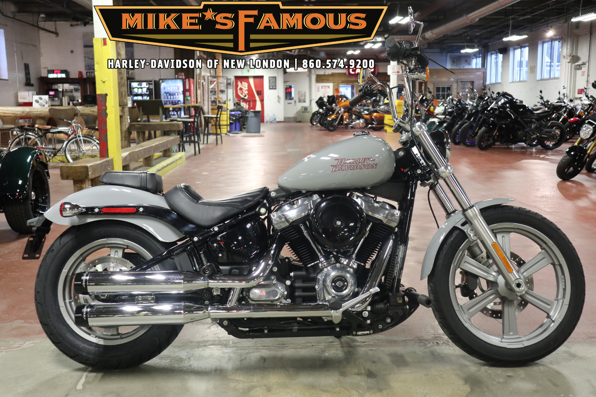 2024 Harley-Davidson Softail® Standard for sale 1047975
