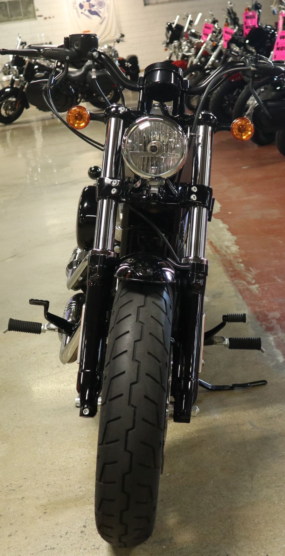 ◆ハオルチア　デンティキュリフェラ　JDV87-089　-1◆サボテン・多肉 2025年最新仙女香 ハオルチアの人気アイテム - メルカリ