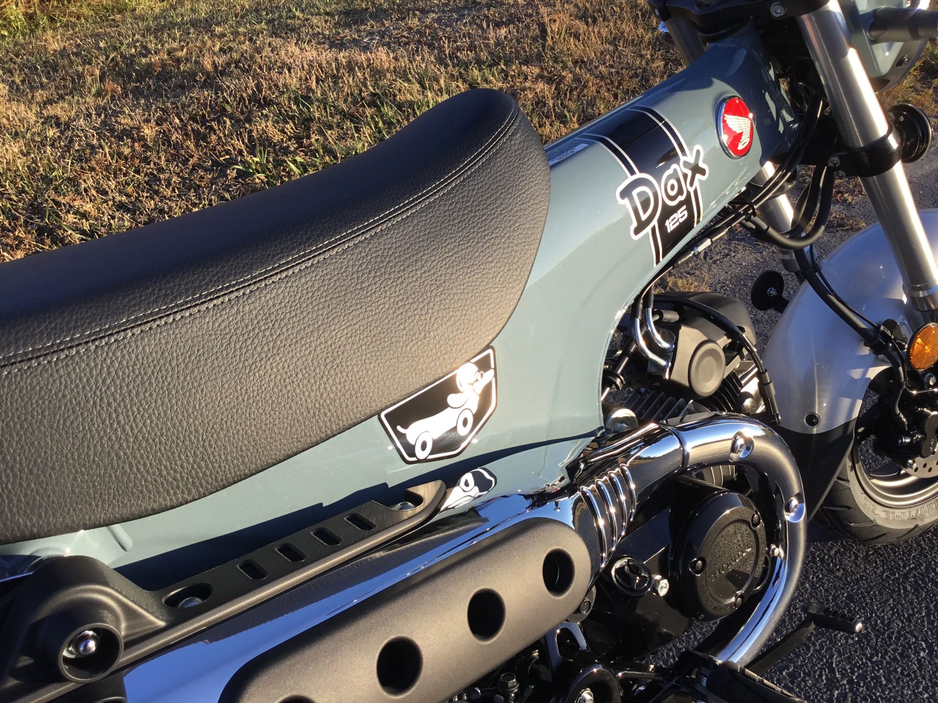 2025 Honda Dax 125 9