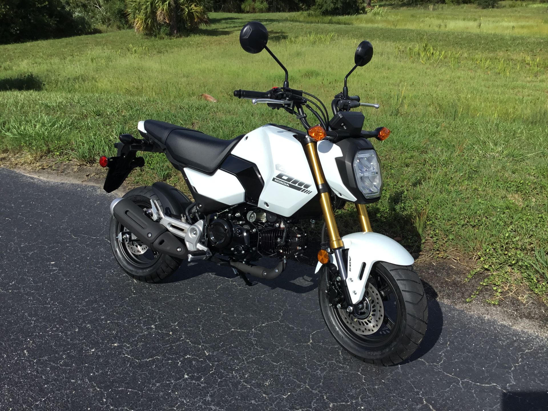New 2026 Honda Grom ABS Motorcycles in Hudson, FL