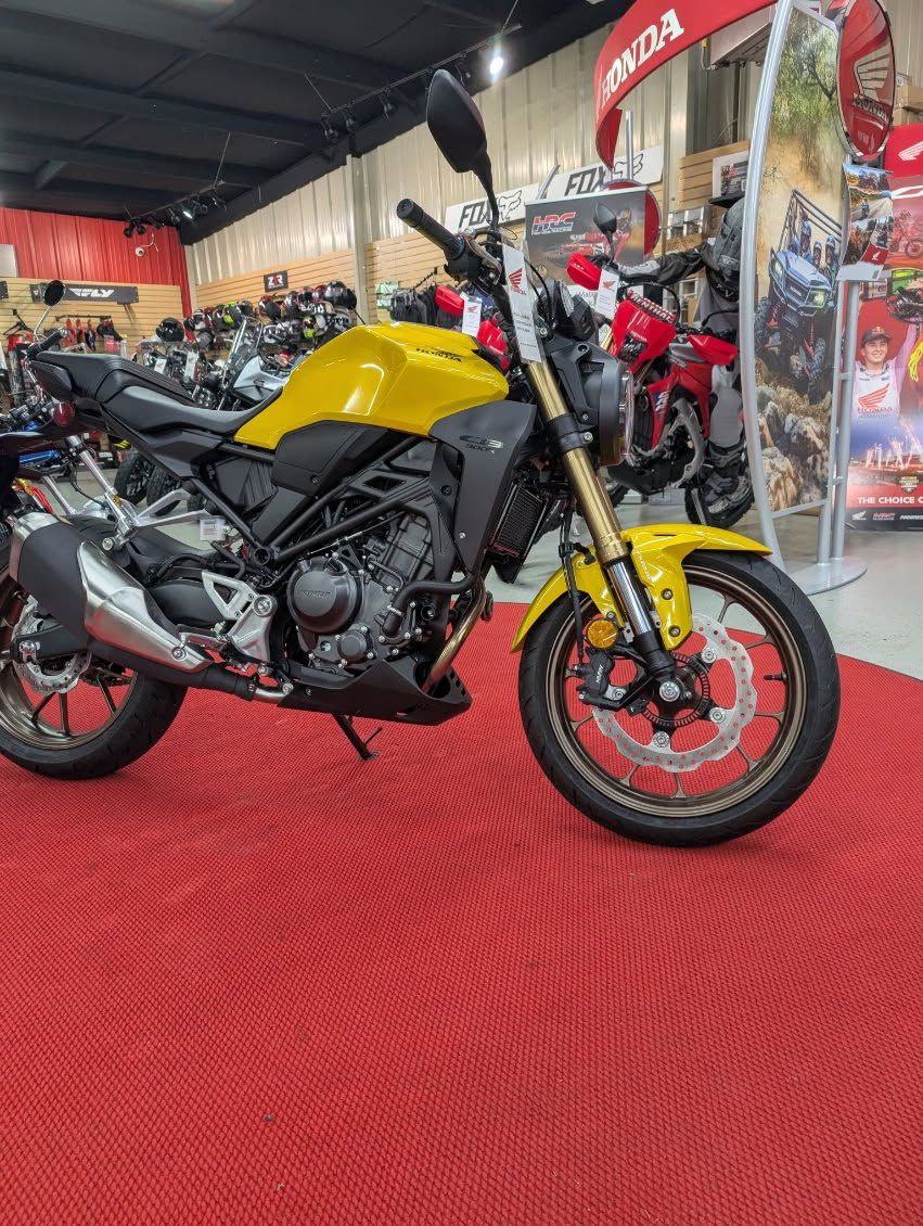 2025 Honda CB300R ABS 1