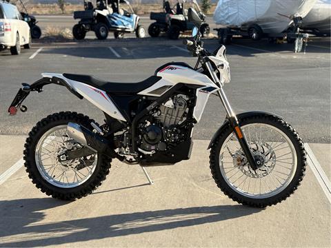 2026 Beta Alp 4.0