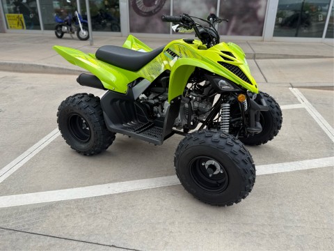 2026 Yamaha Raptor 110 — photo 1 of 20