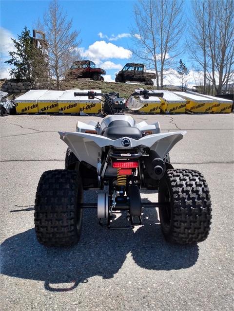 2024 Can-Am Renegade 110 EFI in Granby, Colorado - Photo 4