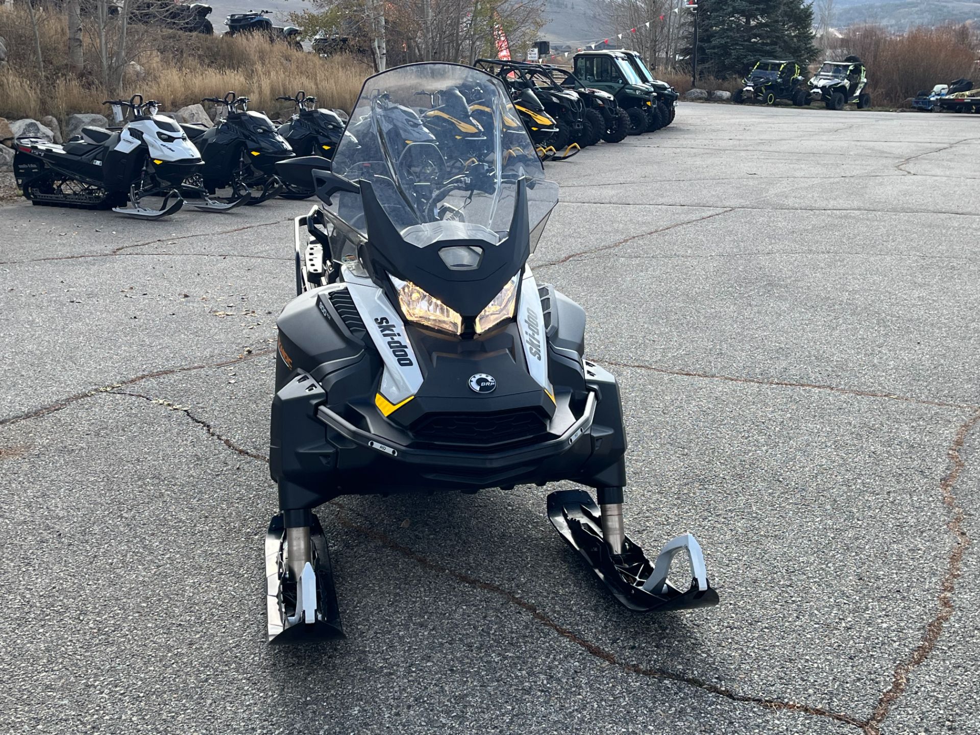 2026 Ski-Doo Skandic LE photo 3