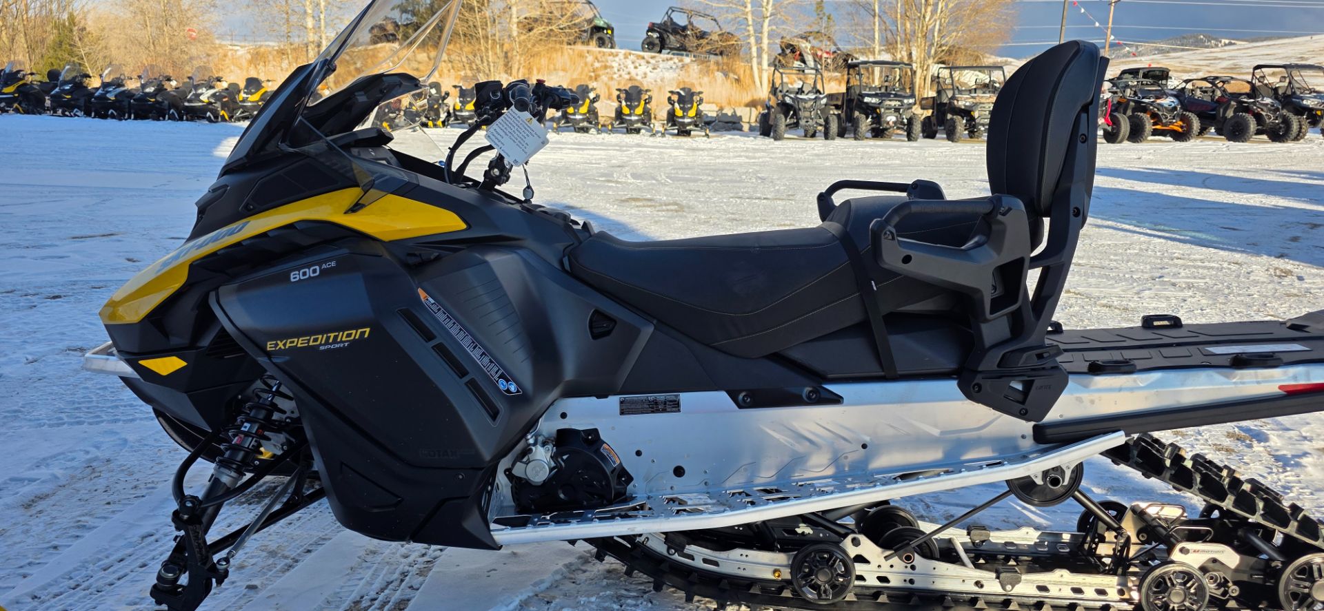 2026 Ski-Doo Expedition Sport photo 2