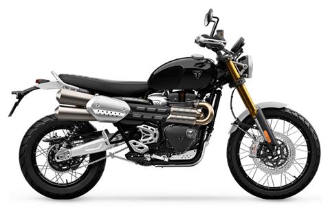 New 2025 Triumph Scrambler 1200 XE, Fort Wayne IN | Specs, Price