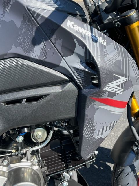 2024 Kawasaki Z125 Pro Motorcycles Middletown New York