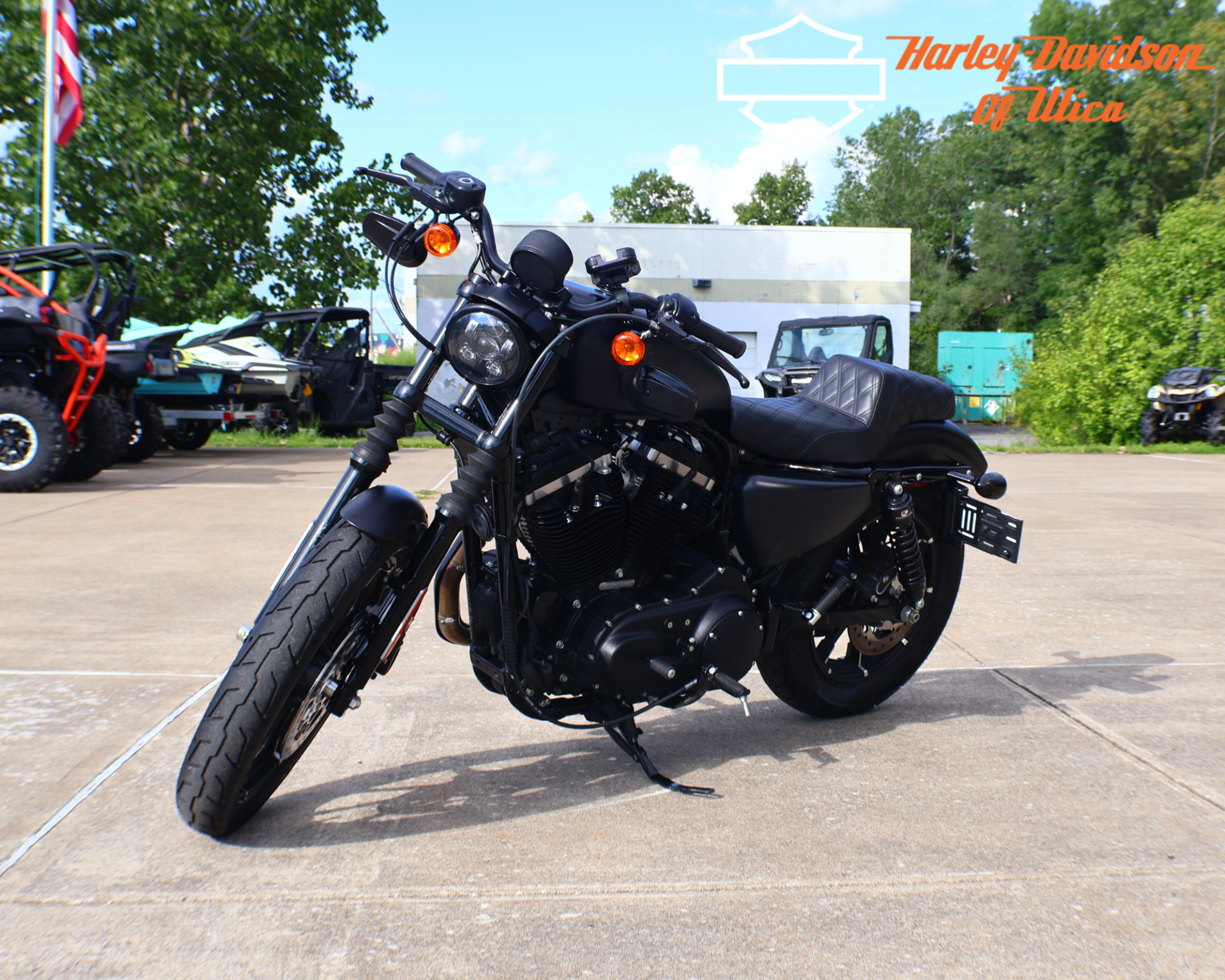Used 2021 Harley-Davidson Iron 883™ Black Denim | Motorcycles in