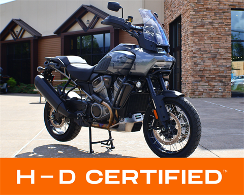 Used 2022 Harley-Davidson Pan America™ 1250 Special Gauntlet Gray