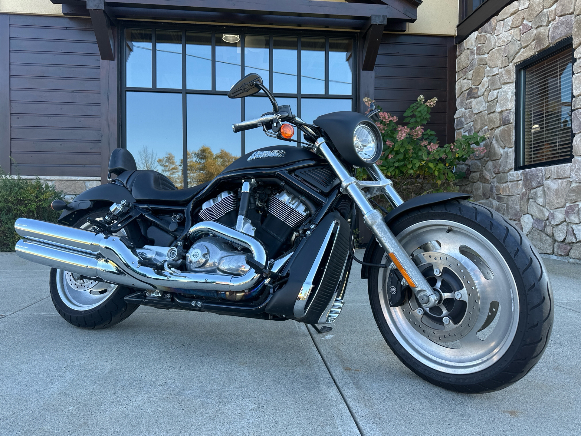 Used 2006 Harley-Davidson Night Rod™ Black Denim | Motorcycles in