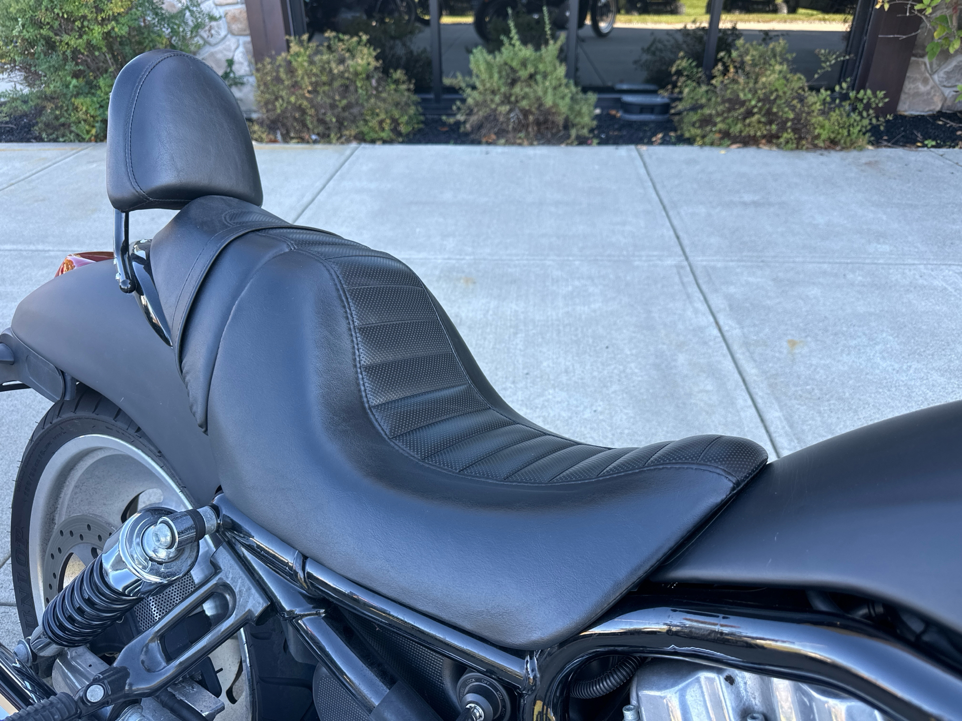 Used 2006 Harley-Davidson Night Rod™ Black Denim | Motorcycles in