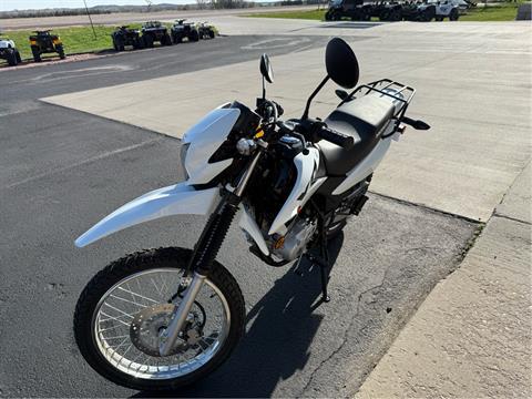 2024 Honda XR150L in Yankton, South Dakota - Photo 3