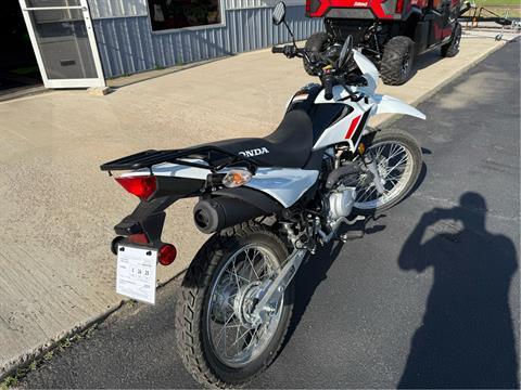 2024 Honda XR150L in Yankton, South Dakota - Photo 6