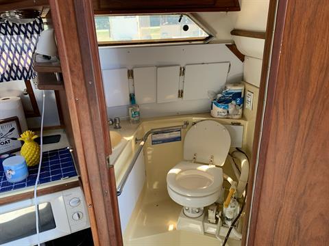 1983 Sea Ray Sundancer 270 in Yankton, South Dakota - Photo 18