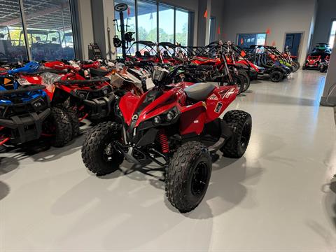 2027 Can-Am Renegade 110 EFI