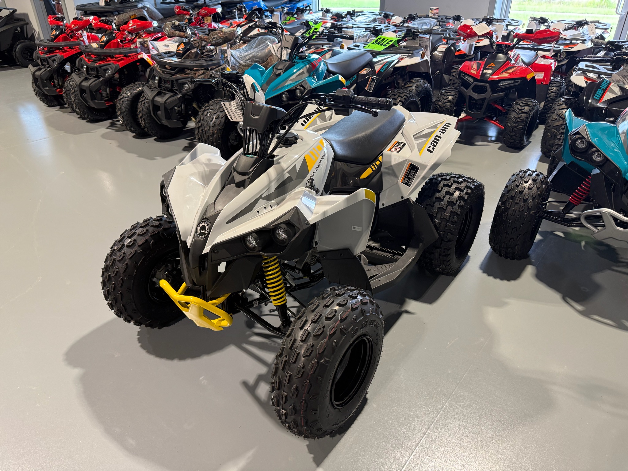 2026 Can-Am Renegade 110 EFI