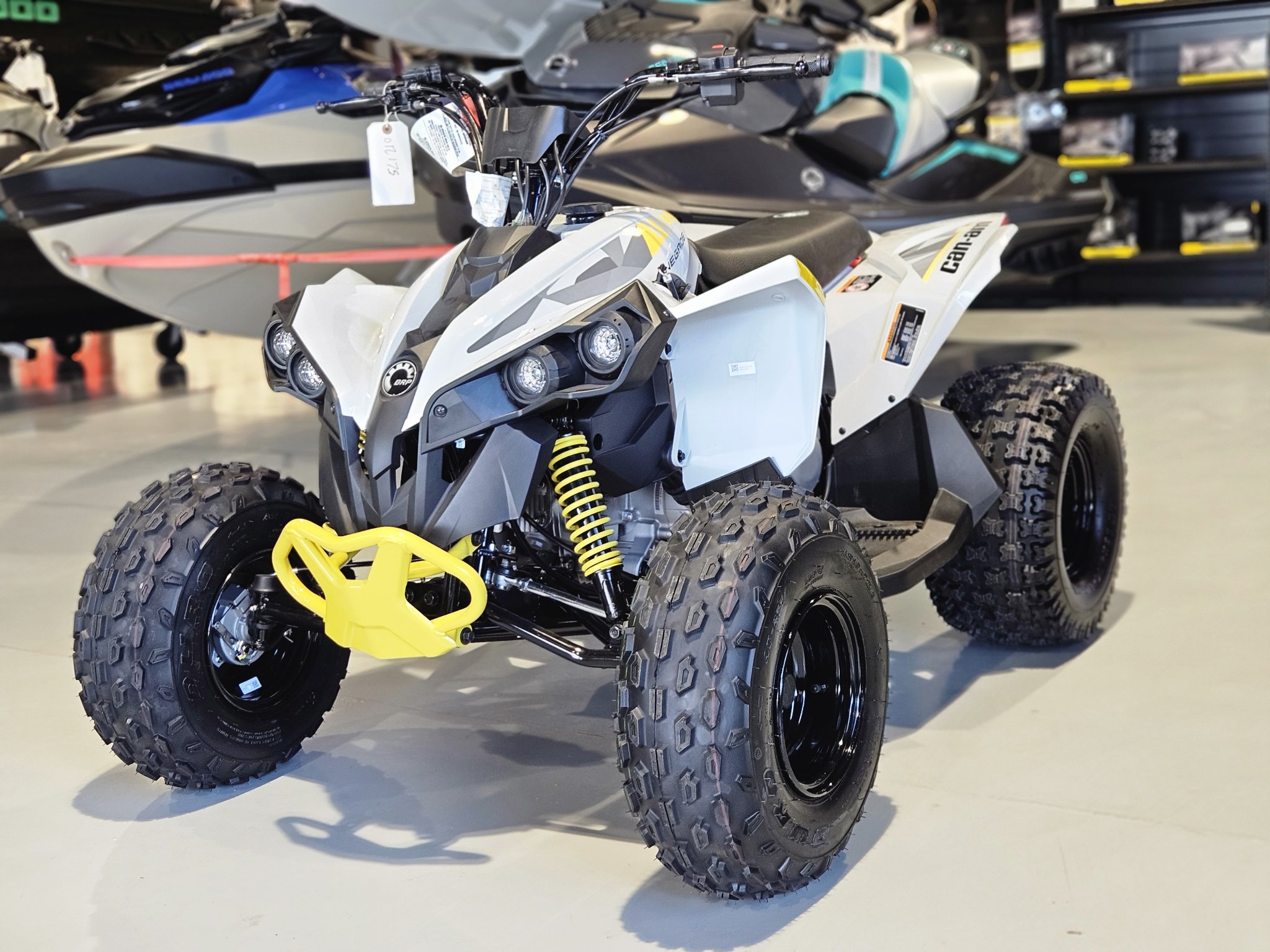2026 Can-Am Renegade 110 EFI